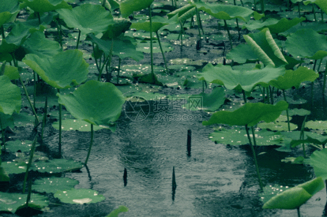 夏|谈天说地