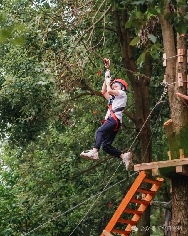 秋假去哪？崇州这些亲子游宝藏地不容错过