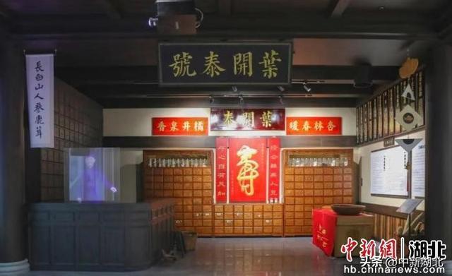 武汉中医药产业园在汉阳揭牌