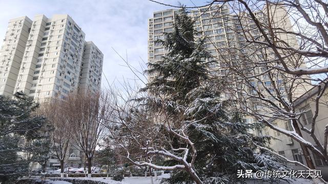 2025年北京冬天第一场雪后随手拍的小情小景，打动您了吗