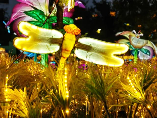 桂林:首届非遗千灯游园,光影艺术璀璨盛宴!