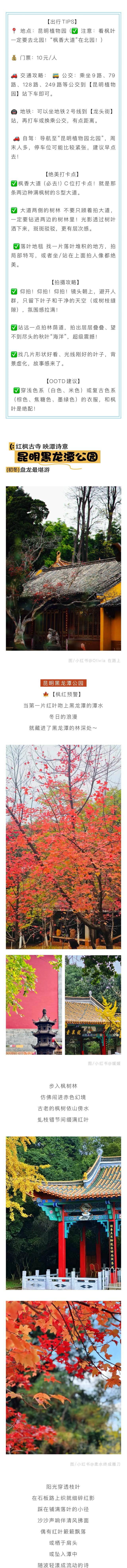 周末爆火！避开人挤人 这份攻略帮你提升盘龙“采枫” 体验感→