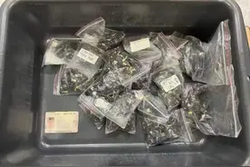 蛇口海关查获一宗人身藏匿SD卡走私进境案件，共查获SD卡6800张图片