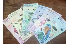 百慕大元你了解多少？图片