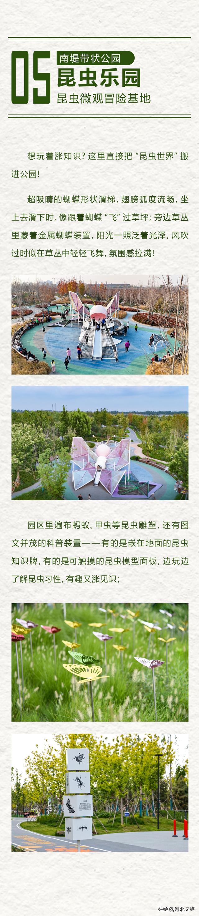 藏不住了！保定这座公园，把“快乐”写成了童话