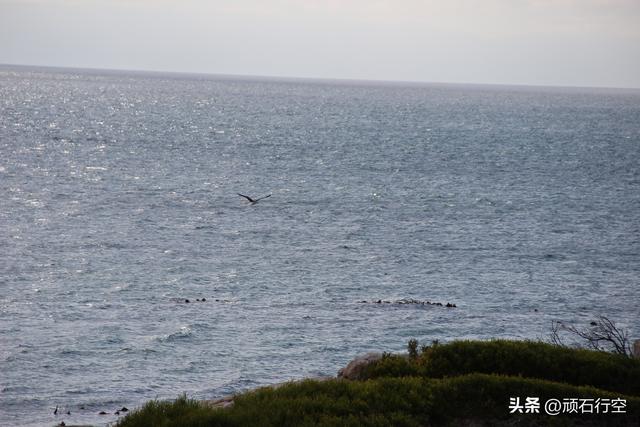 南部非洲：南非好旺角