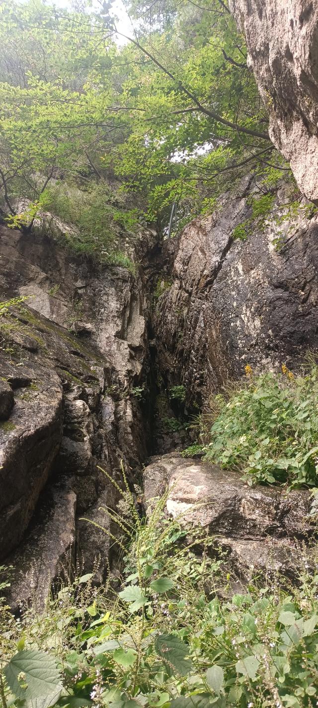 王顺山观景台风光