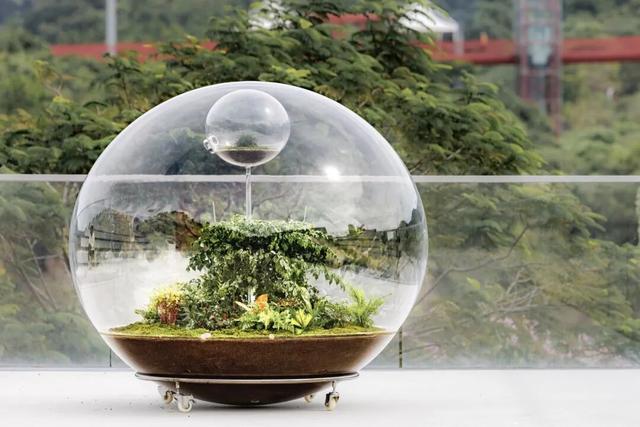 21个打卡点等你解锁！第三届深圳·光明国际公共艺术季开展