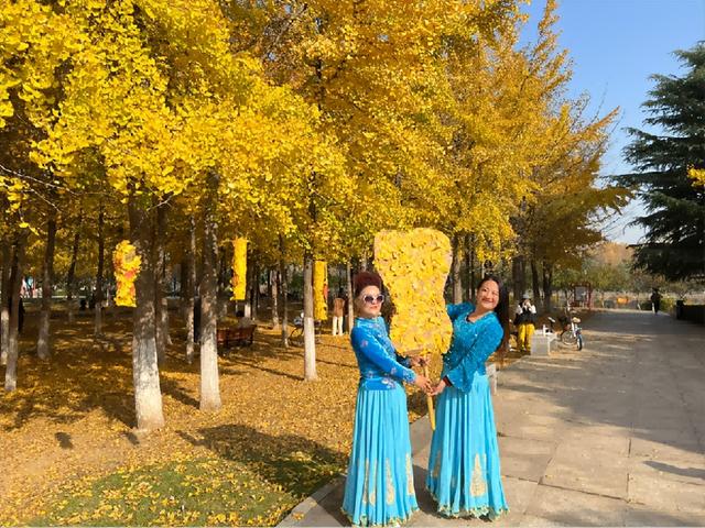 框住一园秋色：临沂园博园创意景观引客来