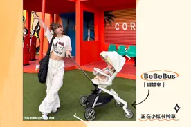 【好文分享】看一粒种子发芽——BeBeBus上新即品类销量TOP1图片