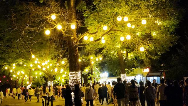 “好运莲莲 千山奇妙夜”水幕光影夜游璀璨启幕
