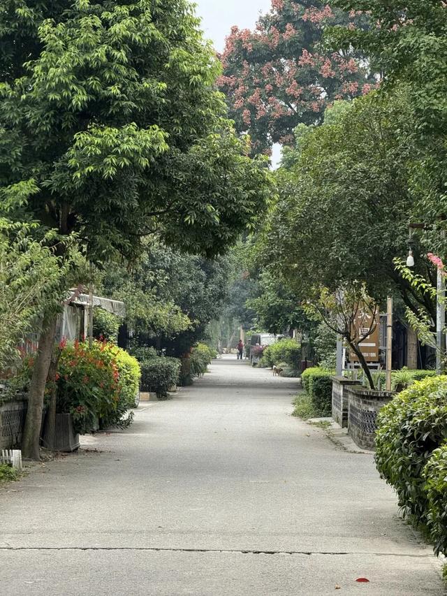 在成都西北郊区，这个渐渐淡出视野的最美乡村，还值得一去吗？