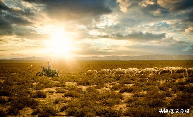 山东人，逛了保定和石家庄，实在忍不住说：这俩城市差距真是不小