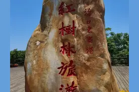 说说含“有”字的成语大世界图片