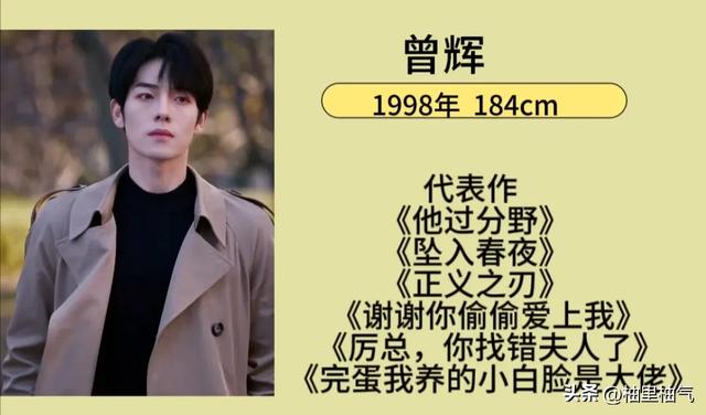 现在最火的短剧男演员 要演技有演技 要颜值有颜值 要气质有气质