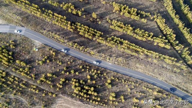 北京周末自驾新选择！全家重阳出游人少景美