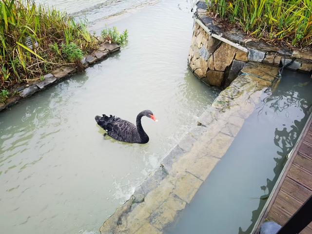 旅行中的小惊喜：那些不期而至的风景与认知