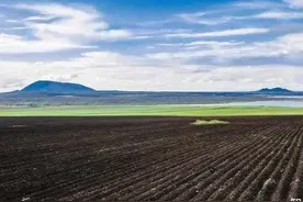 养活4亿人的黑土地，从无到有的东北大粮仓增产潜力还有多少图片