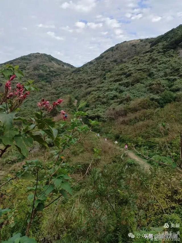 尽享无尽野趣!来浙里,开启一场跨越山与海的秘境徒步之旅!