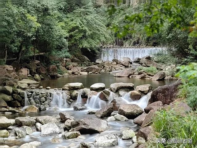温州这个以畲族始祖命名的4A级景区，秘藏着一座“生物王国”！