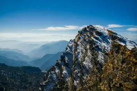 当你过上独来独往，没有电话，没有聚会的生活，说明你是这3种人图片