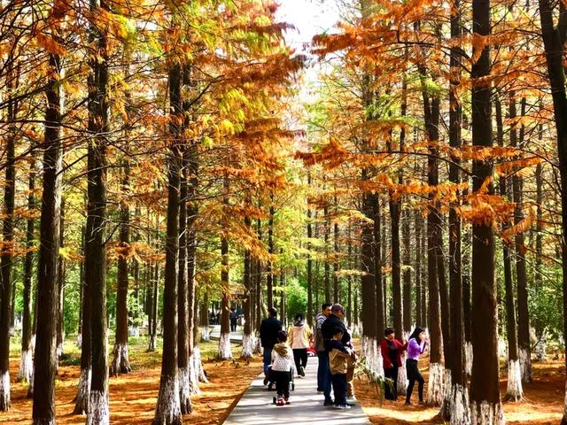 秋色斑斓美如画