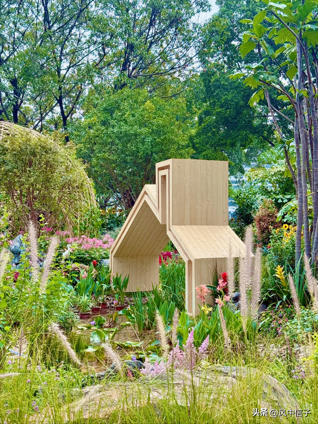 这个周末不如带娃去逛逛这里的花花