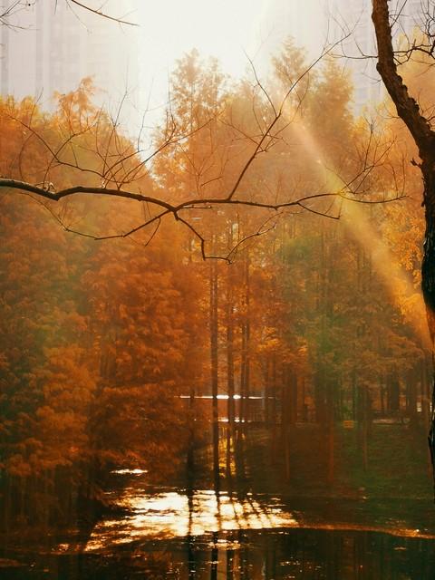 藏不住了，宜昌变身秋日调色盘！这5个绝美景点不去可惜！