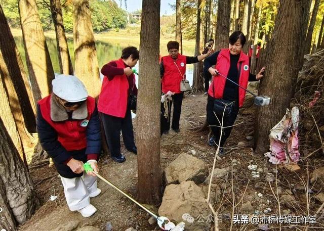 最美水杉林里志愿红