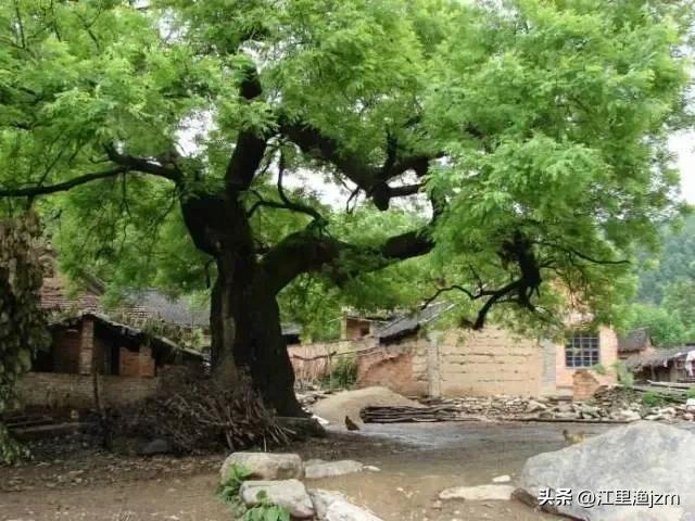 回归大自然