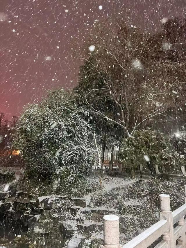 终于等到你！第一波济宁雪景大片来了！