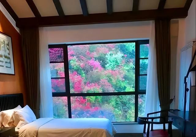 免费送票！2026武汉清凉寨樱花文化旅游季，3月7日盛大迎客！