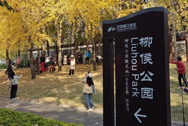 [广西 柳州市城中区]