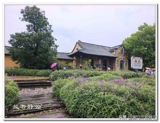 云南建水：百年米轨观光小火车 & 沿途景点