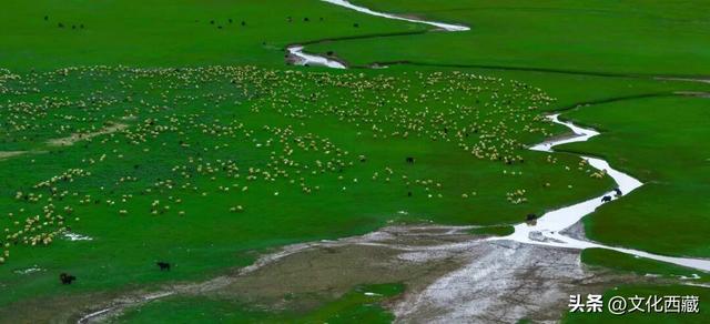 山南！山南！没来过山南，等于白去了西藏！
