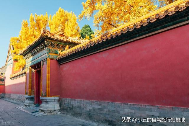 9 地秋日赏秋实测攻略！附最佳时间 + 落地玩法，收藏直接走