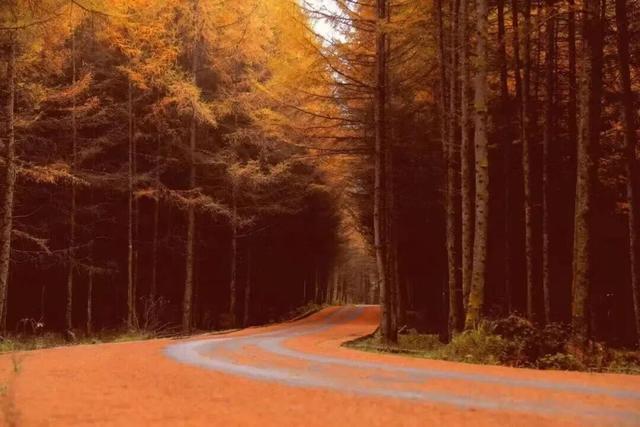 广元旺苍，倒也不必美得如此满分！！！