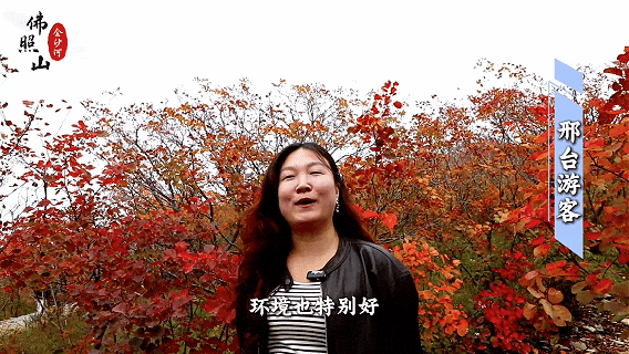 快看佛照山红叶进入最佳观赏期！