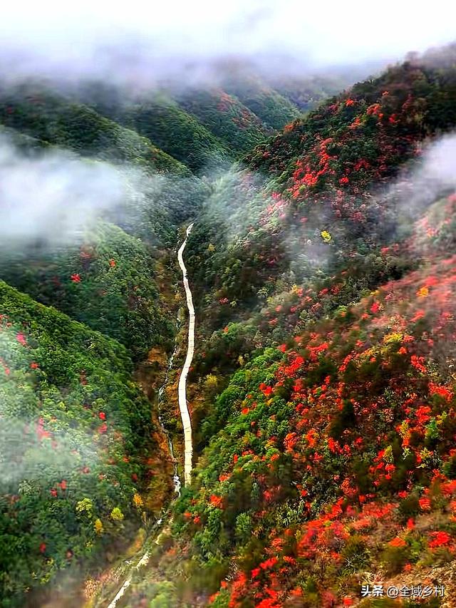 自驾线美到封神！90%河南人不知道的豫西秋色，现在去刚刚好