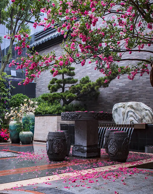 院子的高级感：舒服，胜过一切！