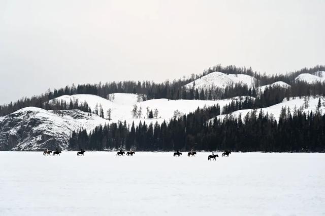 千万别在冬天去新疆!因为去了就回不来了……