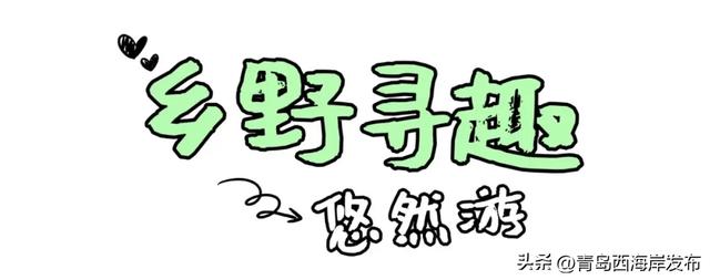 “冬游西海岸”！5条热门线路等你来🤩
