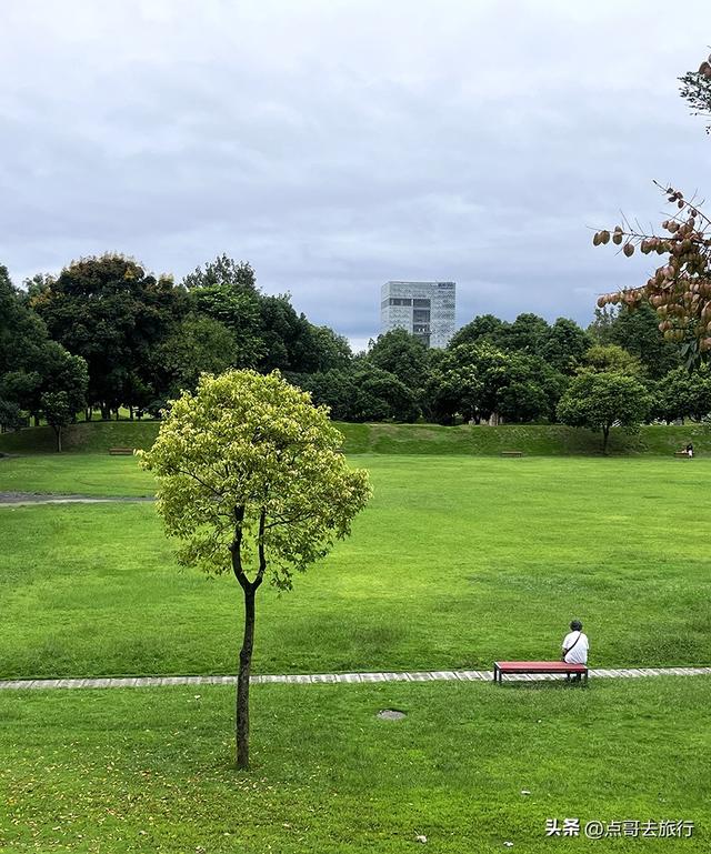 成都公园难得一见的旷野之景，画面超级唯美，地铁公交到达！