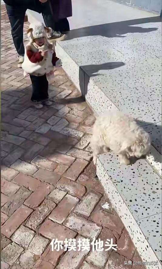 宁夏装死小羊晕倒原因揭秘	，小孩衣服成关键线索，真相太可怜