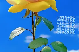 大家早上好图片