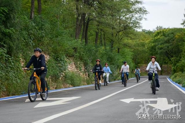 栾卸银杏风景区：千辆单车免费骑 运动康养两相宜