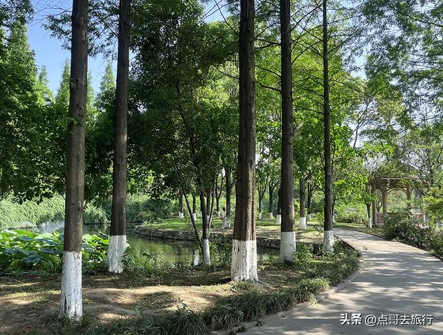 成都市内乘凉公园，风景秀美、清凉，不要门票，地铁公交可达！