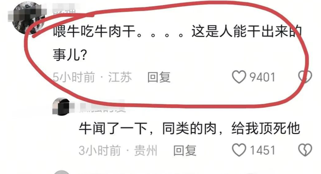 五台山一游客被牛群撞倒围攻，景区回应