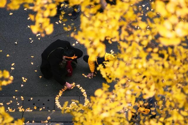 好看！好拍！🤩成都秋日银杏打卡攻略请收好~