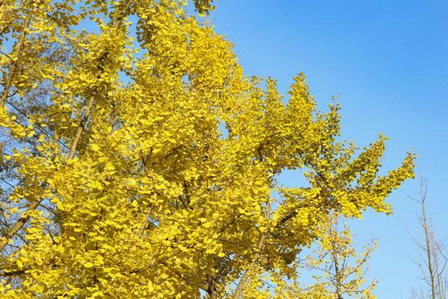 玩转贵安丨贵安初冬限定美景，给你“好看”！